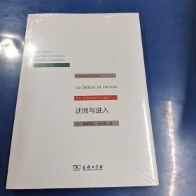 迂回与进入/当代法国思想文化译丛