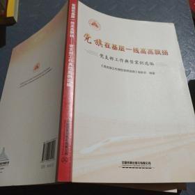 党旗在基层一线高高飘扬-党支部工作典型案例选编