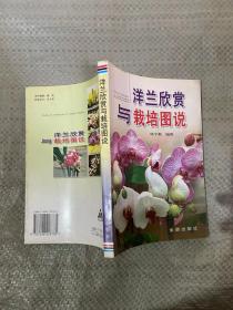 洋兰欣赏与栽培图说