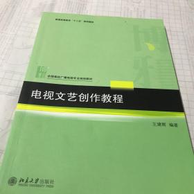 二手正版电视文艺创作教程 王建辉著 北京大学出版社