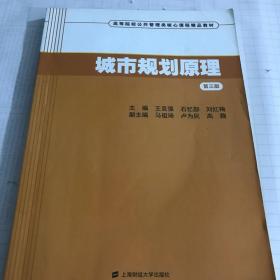 二手城市规划原理第三版第3版 王克强 上海财经大学出版社
