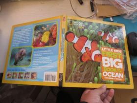 Little Kids First Big Book of the Ocean 美国国家地理