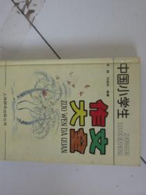 中国小学生作文大全