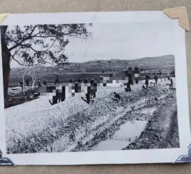 原版老照片1576  包老包真    在宁波鄞江抽水站灌溉区，农民修了长达24华里的渠道