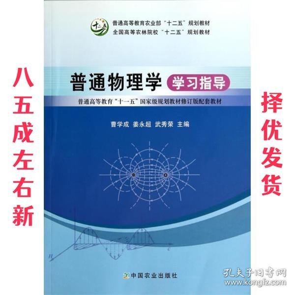 普通物理学学习指导/普通高等教育“十一五”国家级规划教材修订版配套教材