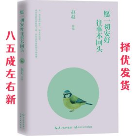 愿一切安好，往事不回头 赵赵 著 长江文艺出版社 9787535487384