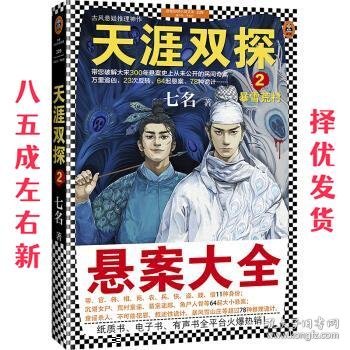 天涯双探2：暴雪荒村（带您破解大宋300年悬案史上从未公开的民间奇案）