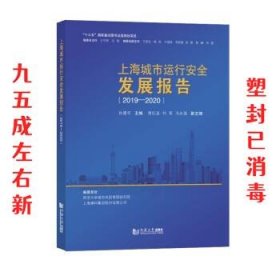 上海城市运行安全发展报告（2019-2020）