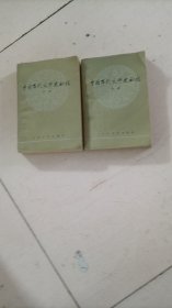中国当代文学史初稿（上下册