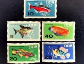 民主德国邮票1966年观赏鱼鲑鱼珍珠鱼等5枚原胶新5017