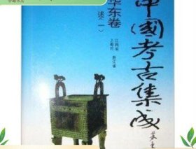 中国考古集成 综述卷  上编 中州古籍 16开精装 全20册 原箱装