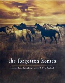 英文原版艺术画册 The Forgotten Horses by Tony Stromberg