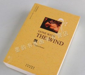 世界名著全英文版原著原版(全集套35册)英语版经典藏无删减长篇短篇文学小说读物飘马丁伊登汤姆叔叔的小屋红字外国畅销中译出版书