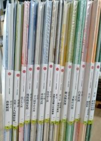 正版 中国美术史.大师原典系列，拉长折页形式印刷精美14本合售