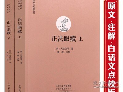 【600余页】正法眼藏（上下册）中国禅宗典籍丛刊禅宗高僧法语原文白话文点校(宋)大慧宗杲中州古籍出版社