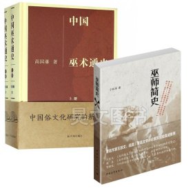 巫师与猎巫 一部全球史