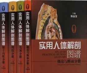 实用人体解剖图谱系列(全套4卷)四肢分册+头颈分册+实用人体解剖图谱+概论与断面分册人体解释学图集 上海科学技术出版社正版书籍