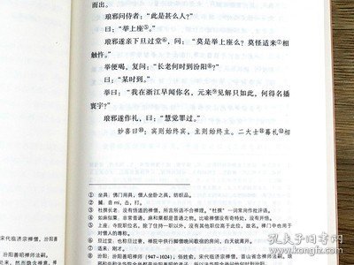 【600余页】正法眼藏（上下册）中国禅宗典籍丛刊禅宗高僧法语原文白话文点校(宋)大慧宗杲中州古籍出版社