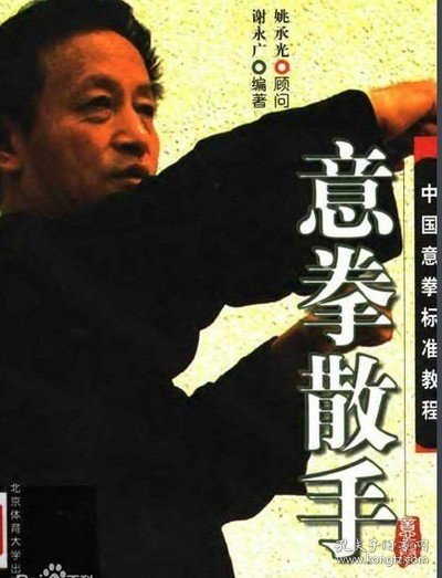 中国意拳标准教程：意拳散手