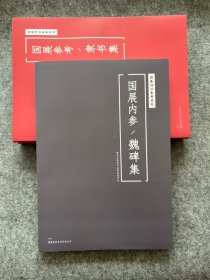 【国展培训参考-魏碑集】国展培训教材 256页 八开