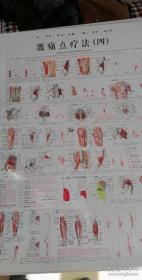 《激痛点疗法》五张高清解剖与肌筋膜一二三四五大挂图吴智园