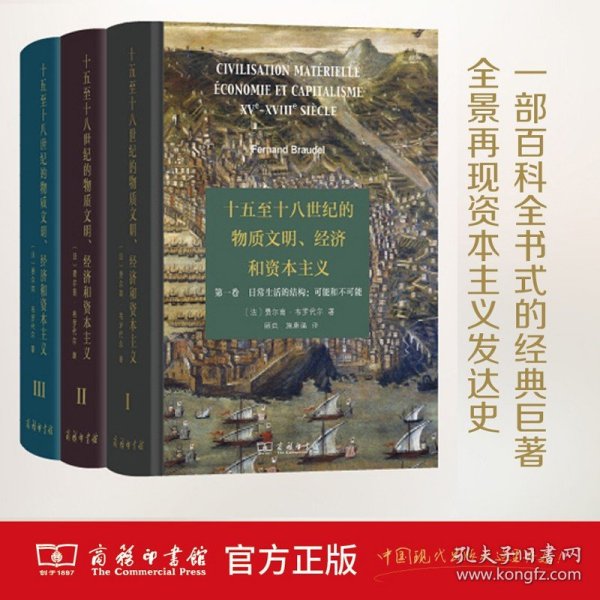 十五至十八世纪的物质文明、经济和资本主义（第一卷 日常生活的结构：可能和不可能）