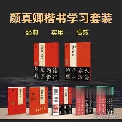 颜真卿楷书学习套装七本 多宝塔碑颜勤礼碑 楷书教程配视频解析