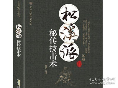 武当内家秘籍系列 松溪派秘传技击术（经典珍藏版）