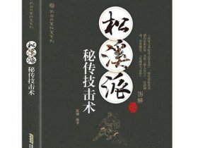 武当内家秘籍系列 松溪派秘传技击术（经典珍藏版）