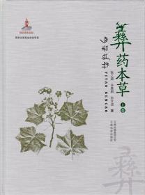 彝药本草 上下卷 张之道 等 著 中药学 生活 云南科学技术出版社
