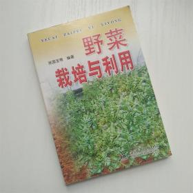 野菜栽培与利用