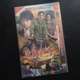 大型当代当代励志爱情剧 岁月如金 DVD9 二碟装完整版 国语发音中文字幕（主演 张丰毅 颜丙燕 左小青 廖京生  ）