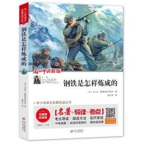 钢铁是怎样炼成的 无障碍阅读版  (苏)尼古拉·奥斯特洛夫斯基