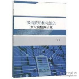 微纳流动和电池的多尺度模拟研究 电子、电工 于影