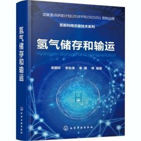 储存和输运 能源科学 吴朝玲，李永涛，李媛等编著