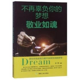 不再辜负你的梦想.敬业如魂 成功学 李菊