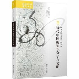 近代中国的知识分子与文明 社会科学总论、学术 ()佐藤慎一著