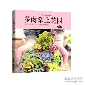 多肉掌上花园