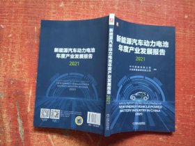 新能源汽车动力电池年度产业发展报告（2021）