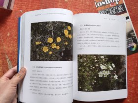 四川四姑娘山国家级自然保护区，特色高原植物图谱