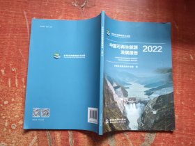 中国可再生能源发展报告2022