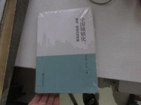 中国城镇化：路径、驱动力与作用
