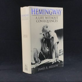 1993年，詹姆斯·梅洛《海明威传》，配插图，精装，Hemingway