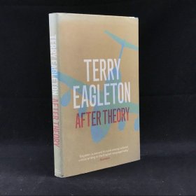 2003年，特里·伊格尔顿《理论之后》，精装，After Theory