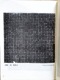 书法杂志【19924】漫说引进与借鉴 关于书法借鉴意识 琅琊台与琅琊刻石考略 孙太初书法篆刻 北魏杨舒杨播墓志 厦门经济特区十周年书法展作品选