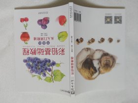 彩铅基础教程：零基础从入门到精通/励尚文化系列丛书