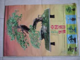 1993年塑膜摄影挂历：中国盆景流派佳作集锦