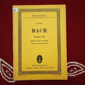 BACH kantate 46 look ye then and see巴赫大合唱第46号