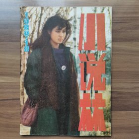 《小说林》1988年第12期，载有短篇小说《鬼眼》（毛毛）、《肖复兴》等。