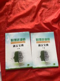 心理咨询师通关宝典（上下册）